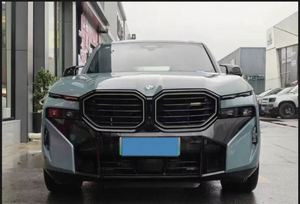 <span class=keywords><strong>BMW</strong></span> X7 3.0T 2026 d'occasion en excellent état - Product Image 5