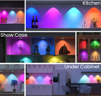 Lampe LED rechargeable RGB Puck Light avec télécommande Lampe d'armoire à piles rechargeables Dimmable Wireless Shelf Light Wholesale