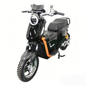 Moto électrique NIU <span class=keywords><strong>U2</strong></span> modifiée sur mesure, haute vitesse, tout-terrain, pour le marché russe - Product Image 4