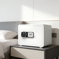 Mini Elektronischer Digitaler Wandtresor für Zuhause Versteckter Safe Robuste Geldkassette Geheimer Geldtresor mit Alarm Sicherheitsdepotbox
