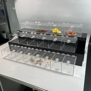 For Modern Acrylic Reptile Breeding Box Lid Enclosure Habitat <b>Display</b> <b>Case</b> Terrarium Customizable Options for Small Reptiles - Product Image 1
