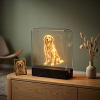 Caja de Exhibición Holográfica 3D de Acrílico para Mascotas con Proyección WiFi, No Requiere Teléfono, Carga de Video Personalizada para Mascotas