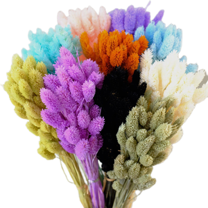 Hierba de gemas reales para arreglos florales y bodas/Fabricación de ramos de flores secas <span class=keywords><strong>Phalaris</strong></span> para decoraciones del hogar y de Graduación - Product Image 1