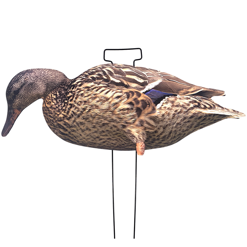 SQ318-2 señuelo de pato mallrd marrón