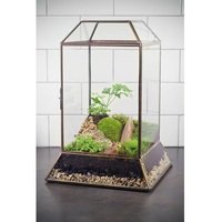 Vase de table en verre borosilicate pour plantes succulentes et plantes aériennes – Écologique, durable, design artistique moderne