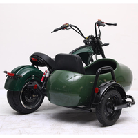 High Performance 10" Electric Sidecar Trike, Powerful 3 Wheeler Electric Motorcycle with Wide Tires for Stable Riding