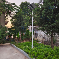 Lampadaire Solaire LED Bipolaire Tout-en-un pour Parking, IP65, 6500K, Boîtier en Aluminium Moulé Sous Pression, pour Parcs et Cours