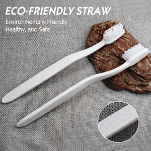 ยาสีฟัน PP + หลอดดูดน้ำแบบย่อยสลายได้สำหรับโรงแรมแปรงสีฟันและยาสีฟัน - Product Image 2