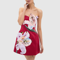 Français Style doux bustier tubulaire robes 2025 nouvelle niche réduction de l'âge mode impression conception sans manches taille a-ligne robe