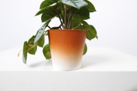 Ornements de jardin en plastique, Mini Pot à feuilles blanches, plantes artificielles pour décoration de maison et de bureau, 18CM, 10 pièces