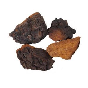 Kayu Birch Inonotus Obliquus jamur <span class=keywords><strong>Chaga</strong></span> pembekuan seluruh jamur <span class=keywords><strong>Chaga</strong></span> kering - Product Image 5