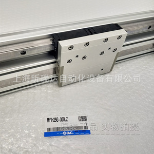   Stangenloser Zylinder MY1H25-300W, doppeltwirkend, magnetischer elastischer Puffer, keine Rotation - Product Image 3