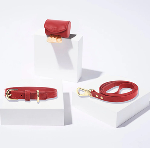 Ensemble collier et laisse pour chien en cuir PU personnalisé avec distributeur de sacs à excréments, accessoires pour animaux de compagnie à étiquette privée - Product Image 1