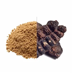 Polvo de Shikakai Natural de Grado Alimenticio, Polvo Herbal Fino de Primera Calidad para Venta al por Mayor, Empaquetado a Granel y Suministro Listo para Exportación - Product Image 3