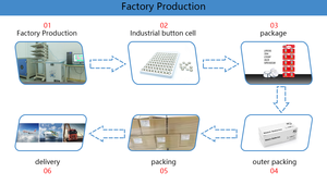 Batteria a Bottone CR2032 <span class=keywords><strong>CR2025</strong></span> <span class=keywords><strong>3V</strong></span> per Telecomando Auto Mercedes-Benz, Volkswagen, Audi, Prodotta in Cina - Product Image 5