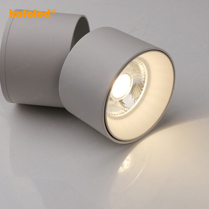Luz de punto de Ángel ajustable montada en <span class=keywords><strong>superficie</strong></span>, lámpara de techo interior de aluminio de fundición a presión, luz descendente empotrada <span class=keywords><strong>LED</strong></span> - Product Image 1