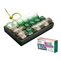 Clavier mécanique en plastique personnalisé pour enfants, jouet anti-stress lumineux à LED avec lumières courantes, son de clic ASMR, pour soulager le stress et presser au bout des doigts