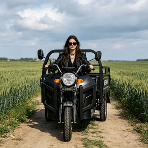 Scooter Eléctrico de Tres Ruedas BEIHAI 2026, Mini Scooter Económico de 60V 2000W, Triciclo de Pasajeros de 3 Ruedas para Adultos - Product Image 3