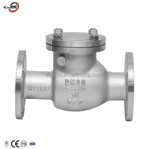 Van kiểm tra bằng thép không gỉ DN65-16P H44W-SS304 SS316