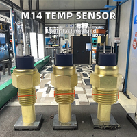 M14 M10 14/17/21mm Sensor de temperatura del agua Piezas de repuesto del motor para accesorios del grupo electrógeno