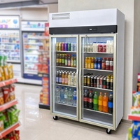 Refrigerador Comercial para Bebidas de Supermercado, con Termostato Mecánico, Puerta de Vidrio, Vitrina Exhibidora