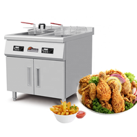 Plancha Máquina Freidora De Aceite Papas Frita Pollo Platano Alto Rendimiento Comercial Industriales Electrica Industrial Dobles