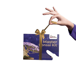 Innovant Levitate Air Master Bonsai <span class=keywords><strong>Pot</strong></span> Meilleurs produits <span class=keywords><strong>de</strong></span> jardinage pour la maison Rotation Caractéristique Pépinière Convient <span class=keywords><strong>Pot</strong></span> <span class=keywords><strong>de</strong></span> <span class=keywords><strong>fleur</strong></span> Grow Label - Product Image 1