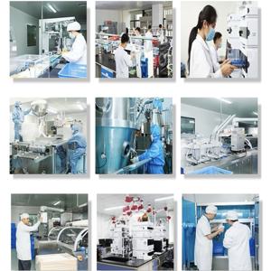 प्राकृतिक जिंकगो बीज का अर्क पाउडर 4:1 | वीर्य जिंकगो (जिन्को बिलोबा) | ब्रेन हेल्थ और एंटीऑक्सीडेंट सपोर्ट | बल्क सप्लायर - Product Image 5