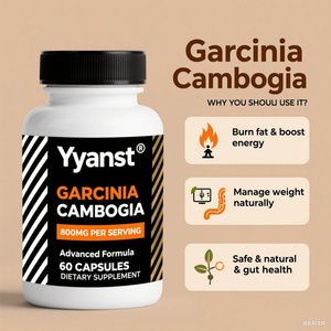 Capsules de Garcinia Cambogia Naturelles à Marque Blanche pour Brûler les Graisses, Favoriser la Digestion et Stimuler l'Énergie - Product Image 3
