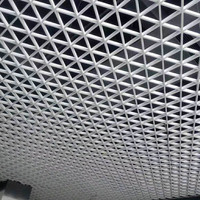 Techo decorativo de metal de aluminio de alta calidad para gimnasio, oficina, hogar, almacén, rejilla, azulejos de techo de celda duraderos