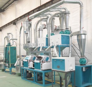 10T/D Hoàn Chỉnh Lúa Mì Bột Xay Nhà Máy Lúa Mì Bột <span class=keywords><strong>Mill</strong></span> Máy Bột Mì - Product Image 1