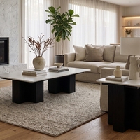 Ensemble de tables basses modernes en pierre frittée, 2 pièces, aspect marbre, 120x60x40cm, meubles de salon imbriqués