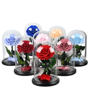 INUNION, de larga duración, preservadas para siempre, rosas eternas reales en cúpula de cristal con luz LED para regalo y <span class=keywords><strong>Festival</strong></span> - Product Image 1