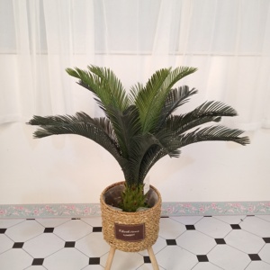 Alta calidad artificial bonsái de plástico plantas de sagú <span class=keywords><strong>cycas</strong></span> - Product Image 4