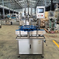Automatische lineaire kurkermachine voor wijn, whisky en gin, afsluitmachine voor glazen potten en flessen, kurkendrukmachine