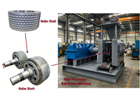 Máquina de Alta Presión para Fabricar Briquetas de Polvo Metálico para Minería, Certificada ISO9001, Capacidad de 7-10 Toneladas/Hora, Ecológica
