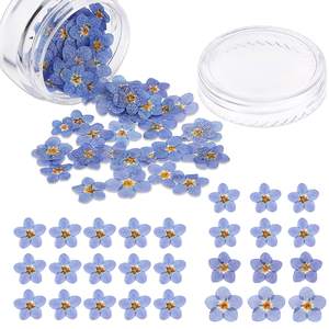 Prensado seco azul blanco Myosotis Sylvatica Forget Me Not flor planta herbario <span class=keywords><strong>para</strong></span> joyería teléfono caso marco DIY fabricación - Product Image 4