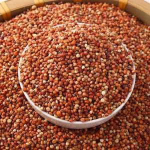 <span class=keywords><strong>Kaoliang</strong></span>-Sachet graines de riz, pigeon et nourriture pour animaux domestiques - Product Image 6