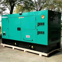 Générateur diesel silencieux de secours domestique 50kW 60kVA, 20-60kW monophasé/triphasé 60Hz, démarrage automatique, faible bruit, sortie AC, ATS pour usage domestique