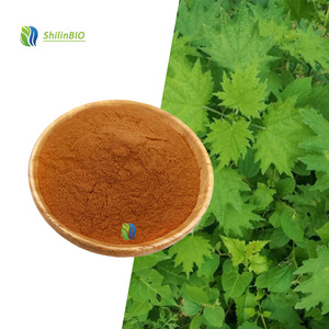 SLBIO Tedarik Çalı Özü <span class=keywords><strong>Urtica</strong></span> <span class=keywords><strong>Dioica</strong></span> 10:1 Gıda Sınıfı Çalı Yaprağı Ekstresi Tozu - Product Image 3