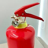Extincteur à fond en T, système d'extinction d'incendie personnalisé pour le Mozambique, extincteurs portables ABC vides de 1,5 kg et 2,5 kg