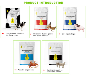 Aliment chimique pour <span class=keywords><strong>animaux</strong></span>, ver de bétail, poulet, chine, Vibration chaude, haute qualité, pour <span class=keywords><strong>animaux</strong></span> de ferme - Product Image 4