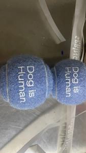 100 adet özel logo sıcak satış köpek oyuncak top interaktif köpek renkli tenis topu oyuncaklar - Product Image 6