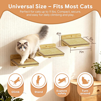 Étagère murale naturelle pour chat en bois avec marches en sisal, pour grimper ou jouer, pour chatons et chats adultes.