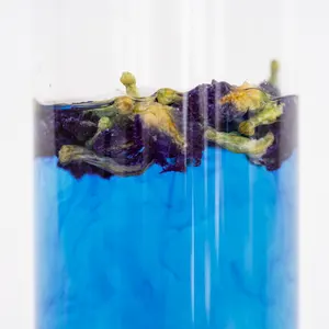Colorante alimentare blu di alta qualità tè alle erbe di fiori di pisello di farfalla essiccato tè di pisello di farfalla blu naturale