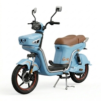 Vélo électrique pour adultes, scooter intelligent à deux roues avec batterie au lithium, design étanche, autonomie de 60 à 80 km pour la conduite en ville