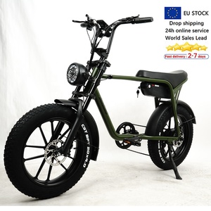E Bike 20 Inch NK20 Ebike 48V 250W Motor City for Sale NK20 E Dirt Bike Bike 250W 48v Hybrid Bike Bis - Product Image 4