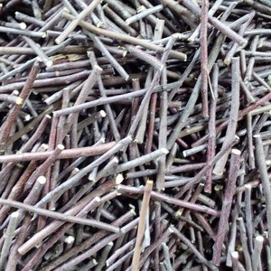 Fournitures durables de grignotage de lapin Branche de pomme séchée Chinchilla Hamster Bâton molaire Fournitures pour animaux de compagnie Sac de jouets en bois de pomme Petits animaux - Product Image 5