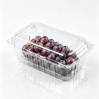 Boîtes d'emballage en PET transparent perforées pour fruits frais (tomates, cerises, raisins) – Contenants en plastique pour fruits en coquille