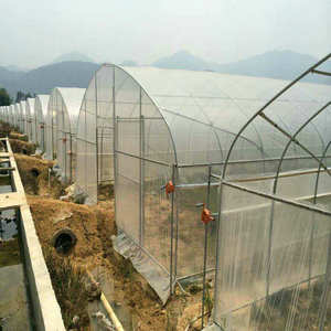 <span class=keywords><strong>Serre</strong></span> à <span class=keywords><strong>tunnel</strong></span> unique à l'intérieur du <span class=keywords><strong>filet</strong></span> <span class=keywords><strong>d</strong></span>'<span class=keywords><strong>ombrage</strong></span> - Product Image 2